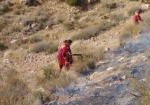 مهار آتش‌سوزی در ارتفاعات صدرا