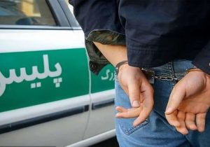 دستگیری سارقان متواری در داراب