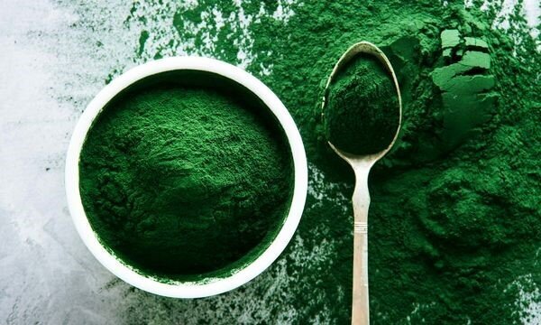 تولید خمیر جلبک اسپیرولینا در فارس