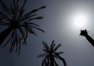 ادامه دار بودن هوای گرم در جنوب فارس تا اواخر هفته