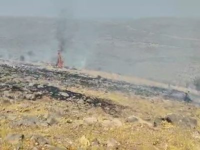 آتش سوزی در ارتفاعات ارسنجان مهارشد
