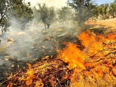 آتش در ارتفاعات روستای مال محمود ممسنی مهار شد