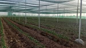 ساخت گلخانه‌های تابع اقلیم در شهرستان کوار