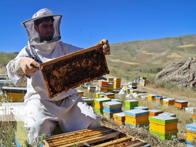 آغاز برداشت عسل در بختگان