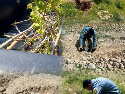 آزادسازی ۵۰۰۰ متر مربع از اراضی پناهگاه حیات وحش بختگان