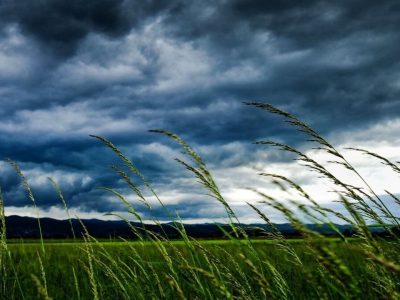 از رگبار پاییزی تا خطر سرمازدگی